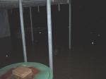 ./bilder/thumbs/1278-6.jpg